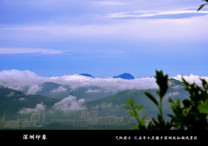植物大战僵尸